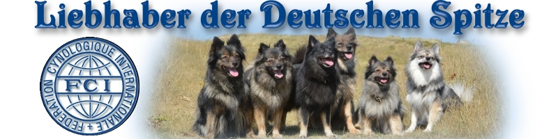 Banner-Spitzliebhaber-03-jpg